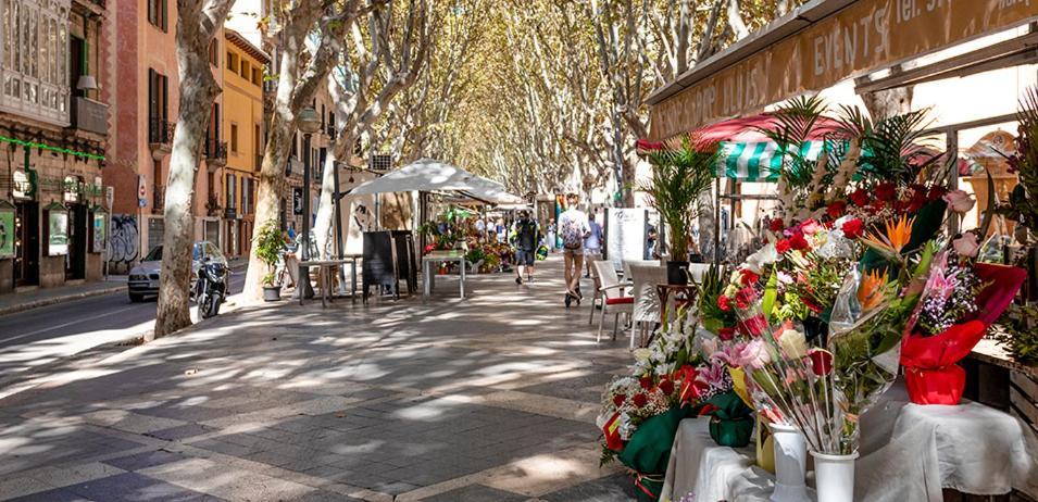 Rambla Palma Center Otel Dış mekan fotoğraf