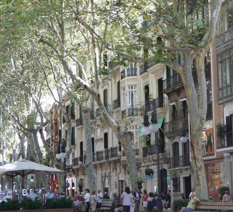 Rambla Palma Center Otel Dış mekan fotoğraf
