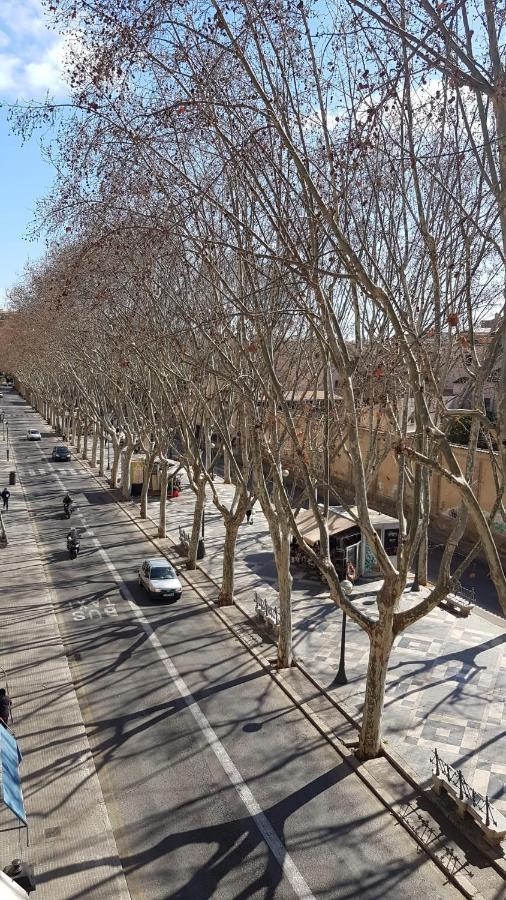 Rambla Palma Center Otel Dış mekan fotoğraf